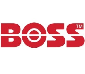 Logo: BOSS Valves
