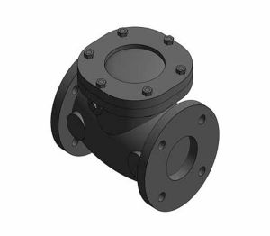 Product: F491 - Swing Check Valve