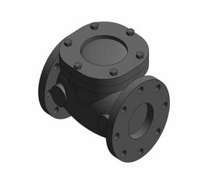 Product: F493 - Swing Check Valve